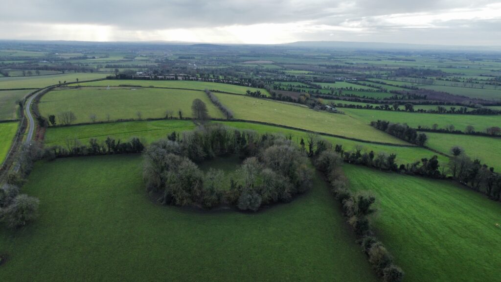 ‘REMEMBER MULLAGHMAST’—GRIEVANCE HISTORY AND THE SOUTH KILDARE MONSTER MEETING