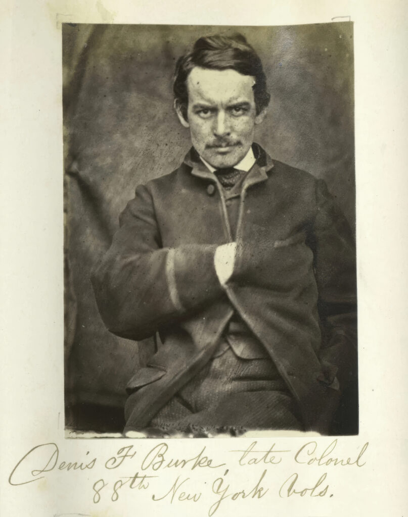 SURVEILLANCE IN 1860s IRELAND—CASE ABSTRACTS AND FENIAN PHOTOS